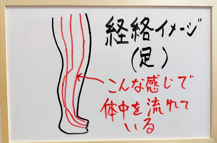 足を流れる経絡